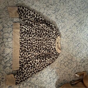 American Eagle Outfitters Leopard Print Sweater